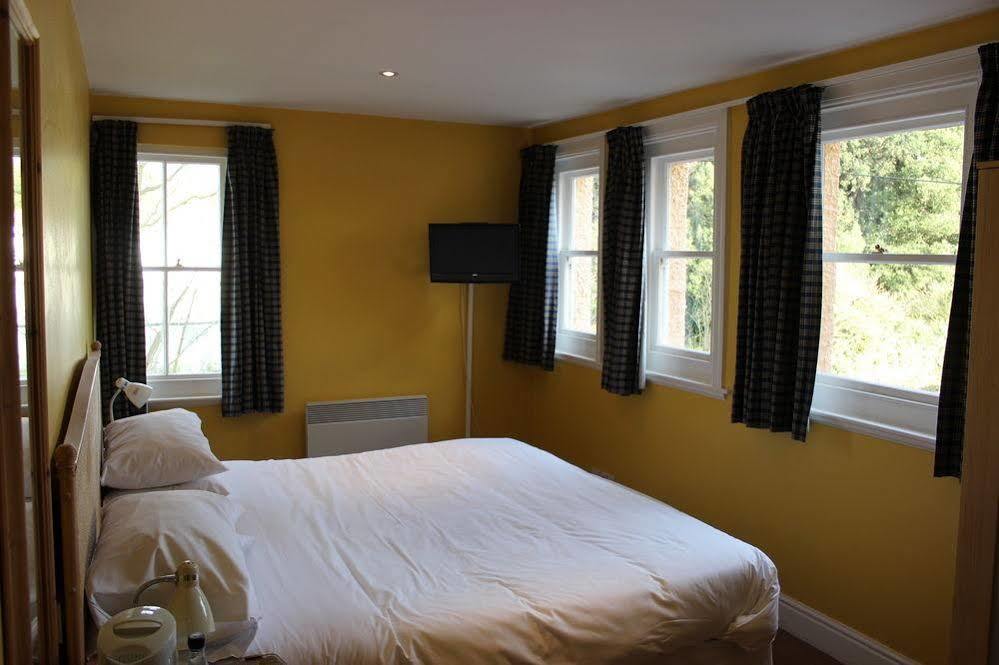 Continental 3* Whitstable